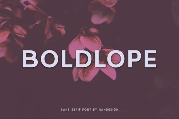 Boldlope: The Minimal Sans Serif Font for Modern Brands