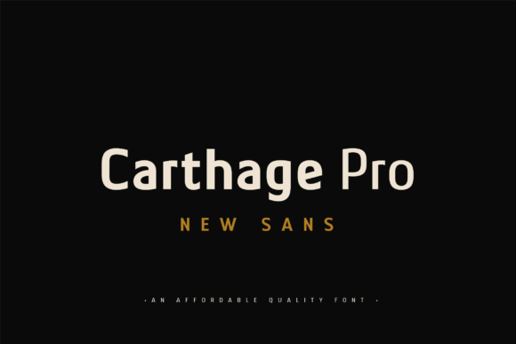 CARTHAGE PRO: A Modern Sans Serif Font for Branding