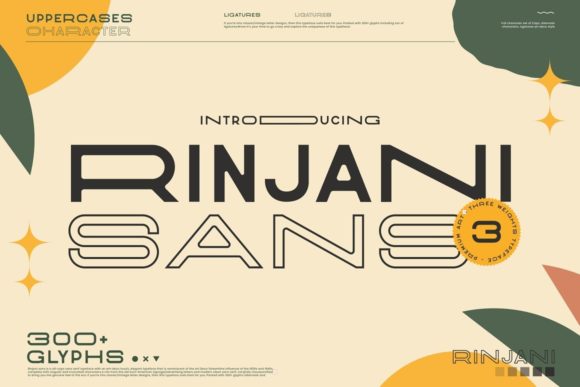 Rinjani Sans: Vintage-Futuristic Design Guide
