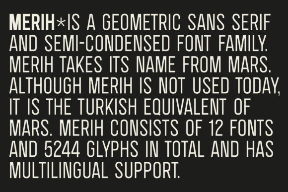 SK Merih: A Modern Sans Serif Font for Business Branding