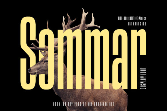 Sommar: The Compressed Sans Serif for Bold Web Layouts